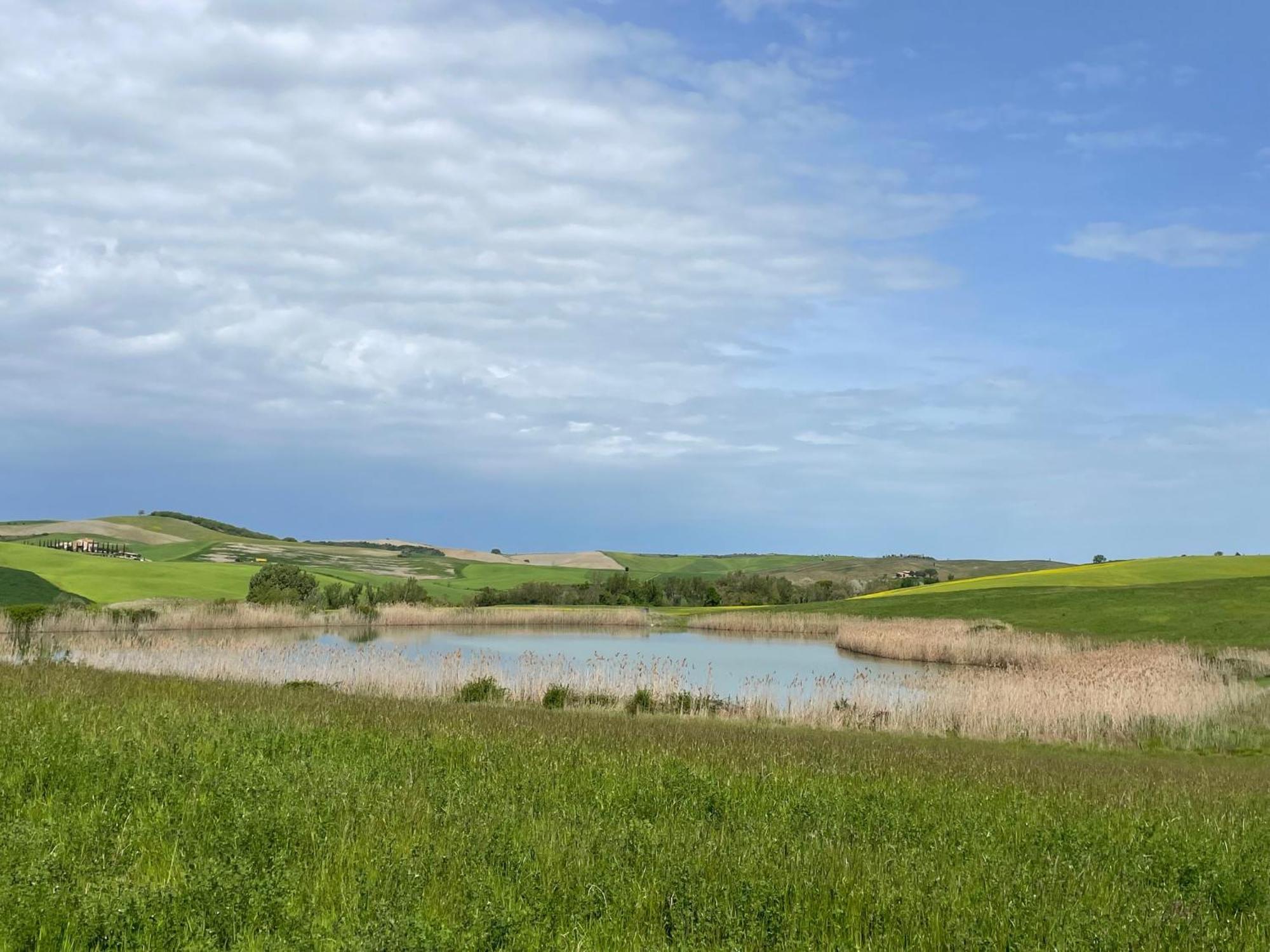 Agriturismo Le Sorbelle D'Orcia Con Piscina Pienza Extérieur photo